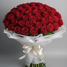 Букет 101 Красная роза Блэк Мэджик в Алешня