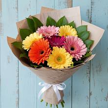 Букет цветов из:  Герберы в Алешня