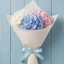 Букет цветов из:  Гортензия в Алешня