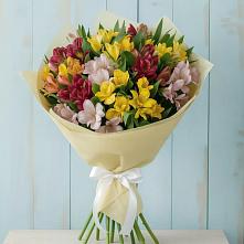 Букет цветов из:  Альстромерии #REPLACE_PRED# Алешня