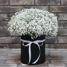 Цветочная композиция из Гипсофила в шляпной коробке #REPLACE_PRED# Алешня