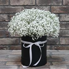Цветочная композиция из Гипсофила в шляпной коробке в Алешня