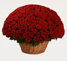 Премиум букет из: Розы в Алешня